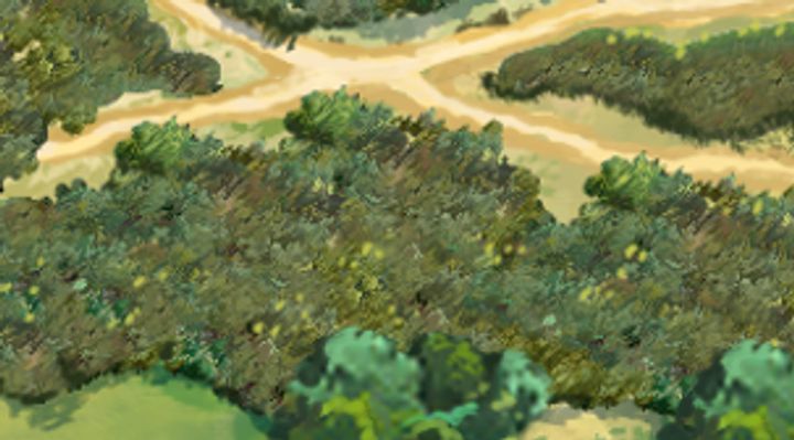 Extrait de la carte illustrée, zone D11