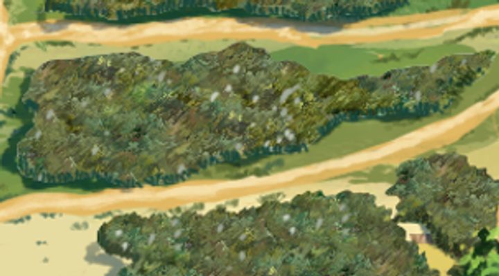 Extrait de la carte illustrée, zone P10