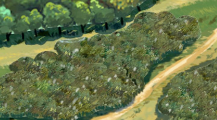 Extrait de la carte illustrée, zone Q09
